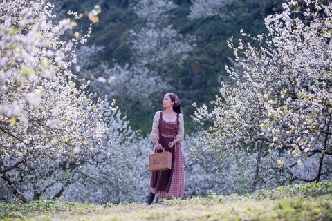 Tour Hà Nội - Mai Châu - Mộc Châu (2 ngày 1 đêm)