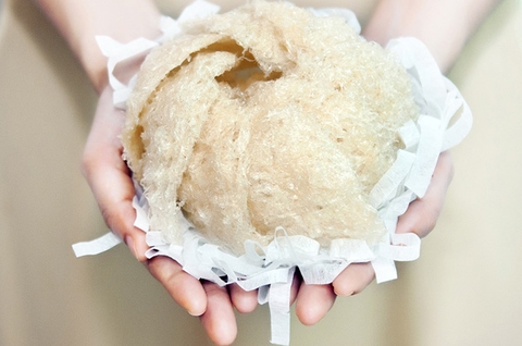Công dụng của tổ yến đối với sức khỏe