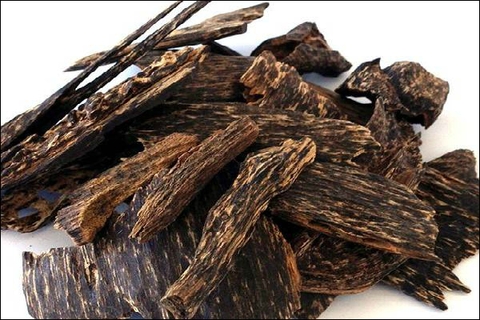 Công dụng chữa bệnh của trầm hương có thật không ?