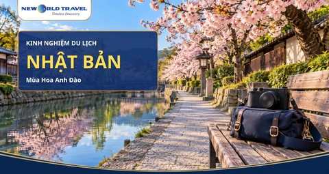 Kinh nghiệm du lịch Nhật Bản mùa Hoa anh đào