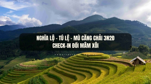 Nghĩa Lộ - Tú Lệ - Mù Căng Chải (Check-in đồi mâm xôi) 3N2Đ