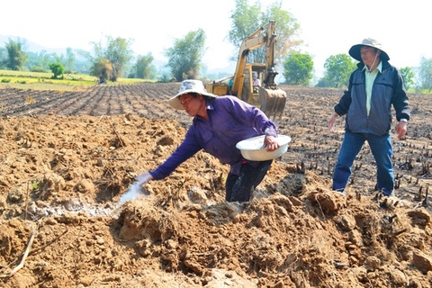 Tác dụng của vôi trong sản xuất Nông nghiệp