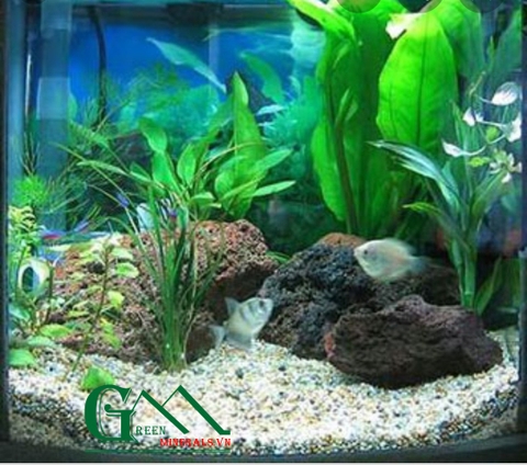 Biến đá sỏi tự nhiên thành vật trang trí  độc đáo cho bể bơi, hồ cá và tiểu cảnh sân vườn