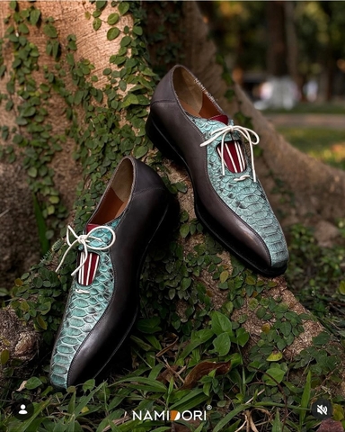 Bicycle Toe Python XL00 Patina 42