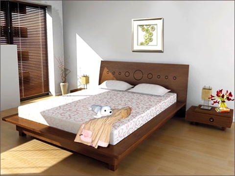 HƯỚNG DẪN VỆ SINH NỆM ĐÚNG CÁCH