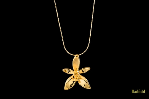 Hoa lan hồ điệp sừng nai  tươi mạ vàng 18k