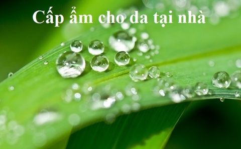 Cách cấp ẩm cho da tại nhà cực hiệu quả dành cho chị em