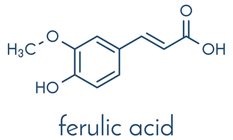 Hot! Biết Acid Ferulic là gì thì lão hóa không quá kinh khủng đâu!