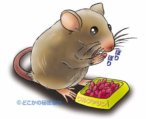 mua Thuốc viên diệt chuột Dethmor Nhật Bản