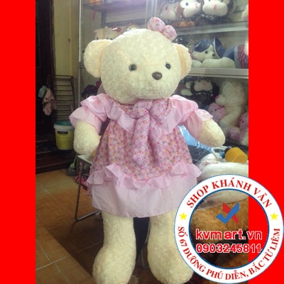 Gấu Teddy váy hồng nơ