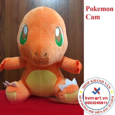 Pokemon Cam