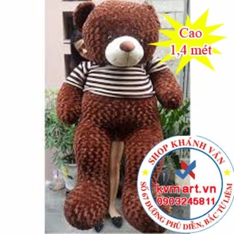 Gấu Teddy Cafe - 1.4 m