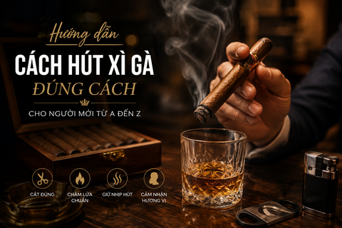 Cách hút xì gà đúng cách cho người mới từ A đến Z