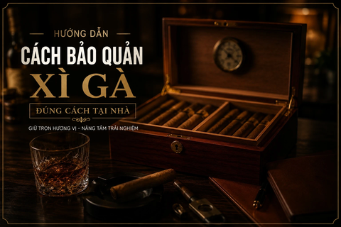 Cách bảo quản xì gà đúng cách tại nhà