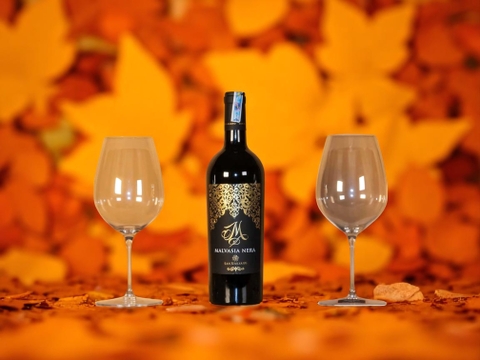 Nho Malvasia Nera và quá trình sản xuất rượu vang đỏ M Malvasia Nera