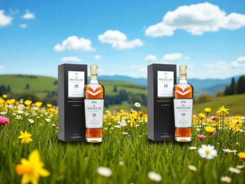 Macallan 18: Đỉnh cao thưởng thức cho người sành whisky