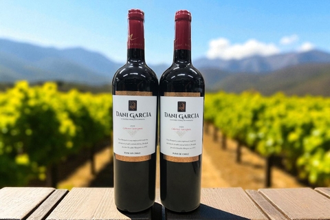 Top 5 khu vực rượu vang hàng đầu Chile