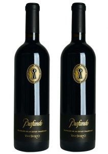 Rượu vang ngoại Chile Valle Secreto