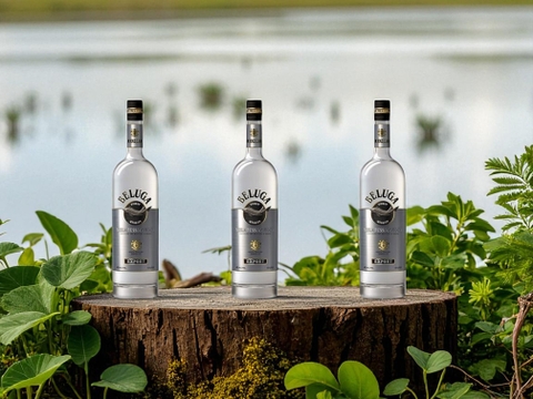 Rượu Beluga Noble – Khi Một Giọt Vodka Trở Thành Biểu Tượng Đẳng Cấp