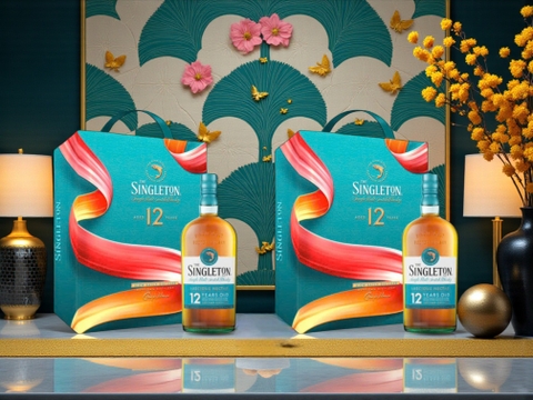 So sánh Singleton 12 và Singleton 15 nên chọn phiên bản nào cho Tết 2026