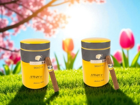 Xì gà Cohiba Siglo VI hộp 25 điếu – Biểu tượng sang trọng trong thế giới cigar Cuba