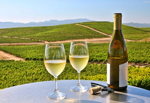 RƯỢU VANG TRẮNG LÀ GÌ? RƯỢU VANG TRẮNG GIÁ BAO NHIÊU?