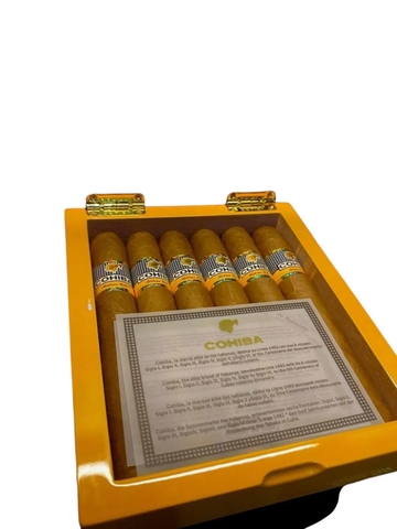 Xì gà Cohiba Siglo 6 hộp sơn mài 6 điếu