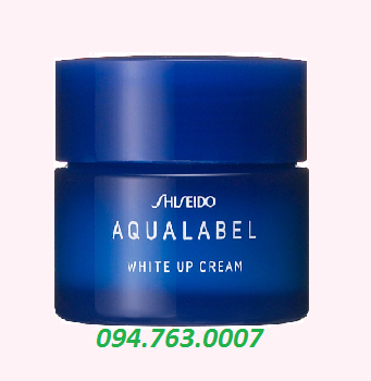 KEM TRỊ NÁM SHISEIDO
