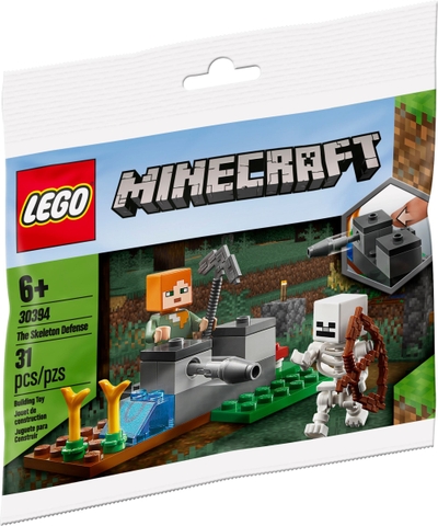 30394 LEGO Minecraft The Skeleton Defense