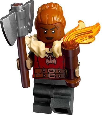 71047 LEGO Dungeons and Dragons Minifigures - Series 27 -  Một Nhân vật trong đồ chơi lắp ráp