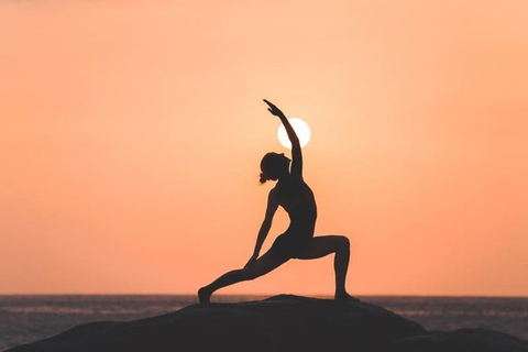 Cách phân biệt 7 loại hình Yoga chính cho người mới bắt đầu