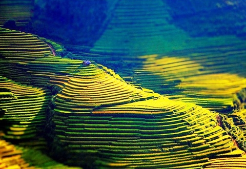 Khám phá Hoàng Su Phì mùa lúa chín