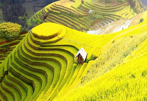 Du lịch Hà Giang - Hoàng Su Phì 4 ngày 3 đêm