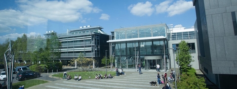 du-hoc-nghe-ireland-4