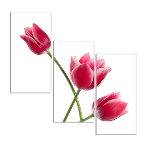 Tranh Hoa Tulip Đặc Sắc