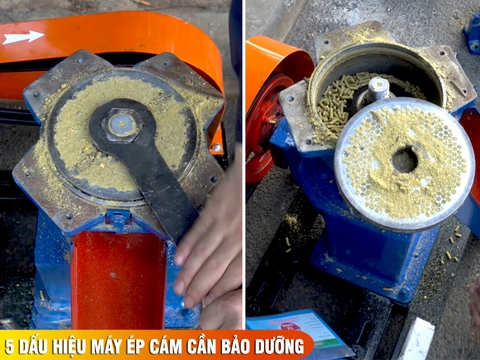 5 dấu hiệu máy ép cám viên cần bảo dưỡng và hướng dẫn sử dụng tại nhà