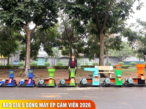 Báo giá chi tiết 5 dòng máy ép cám viên bán chạy nhất 2026
