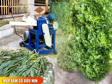 Cách sử dụng máy băm cỏ siêu mịn cho cá trăm ăn nhanh lớn