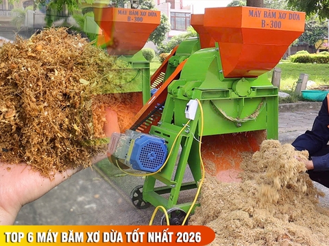 Báo giá top 6 máy băm xơ dừa 1 pha và 3 pha tốt nhất 2025-2026