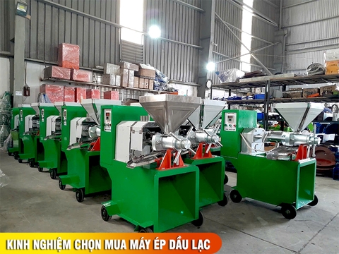 Kinh nghiệm chọn mua máy ép dầu lạc công nghiệp cho xưởng sản xuất