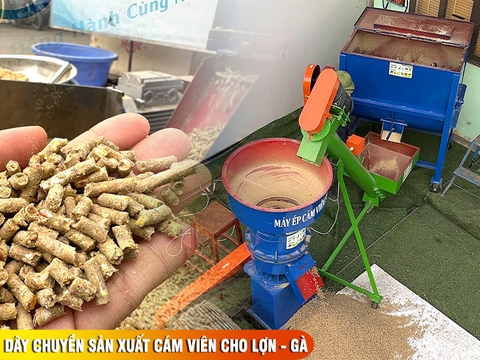 Dây chuyền sản xuất cám viên cho lợn, gà, vịt do Bình Quân sản xuất