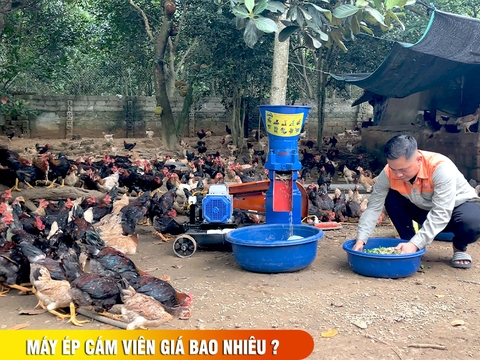 Máy ép cám viên giá bao nhiêu ? Thanh lý máy ép cám viên cũ ?