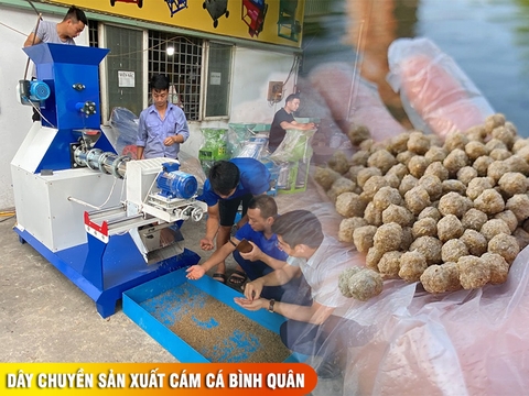 Dây chuyền sản xuất cám cá  Bình Quân: ép cám cá, tôm, ếch