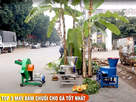 Top 3 máy băm chuối cho gà : băm nhanh, mịn, giá gốc tại xưởng