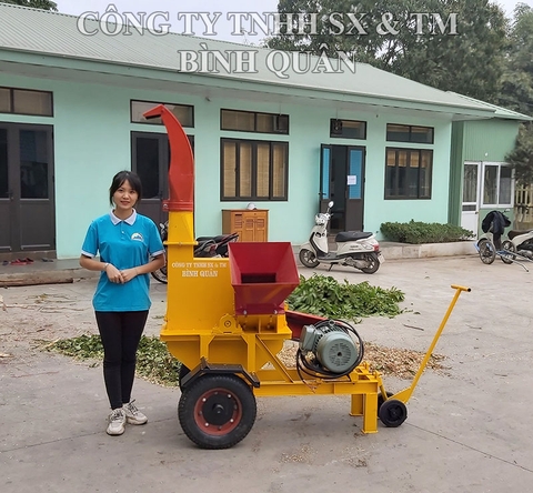 Máy băm cành MBC2T-01