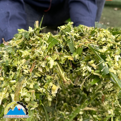 Máy Băm Cỏ Inox C150