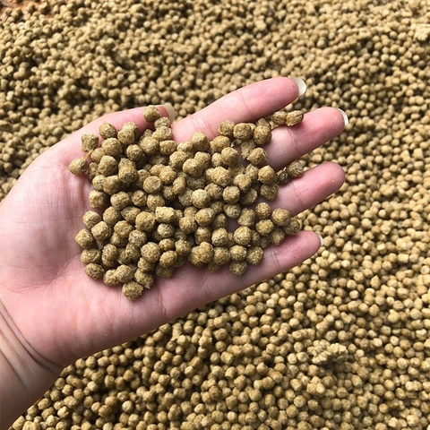 Máy Đùn Viên Thức Ăn Chăn Nuôi 80K - Đầu Nổ