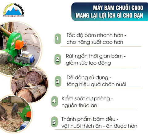 Máy Băm Chuối C600