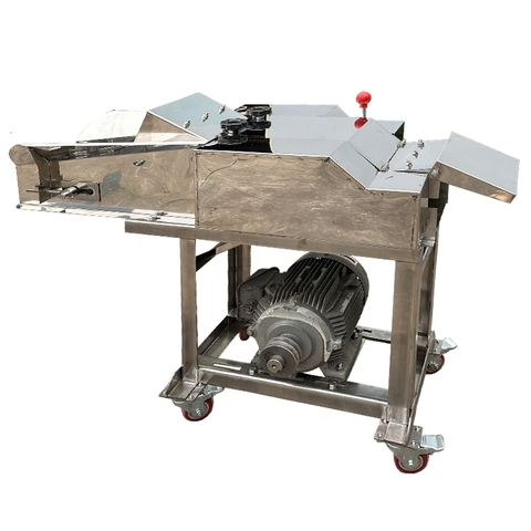 Máy Băm Cỏ G250 Inox