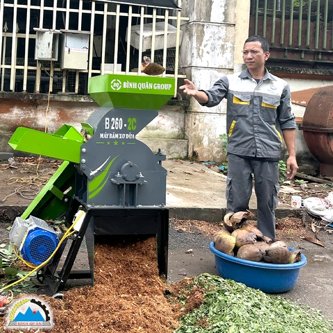 Máy băm xơ dừa B260-2C